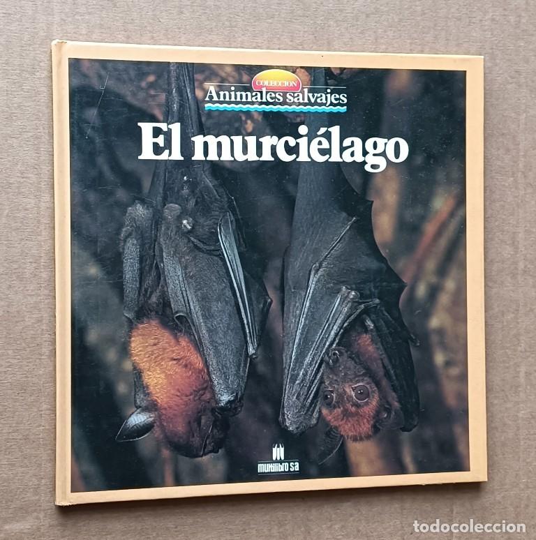 Libros de segunda mano: EL MURCIELAGO - Colecci&oacute;n animales salvajes - Miltilibro 1989