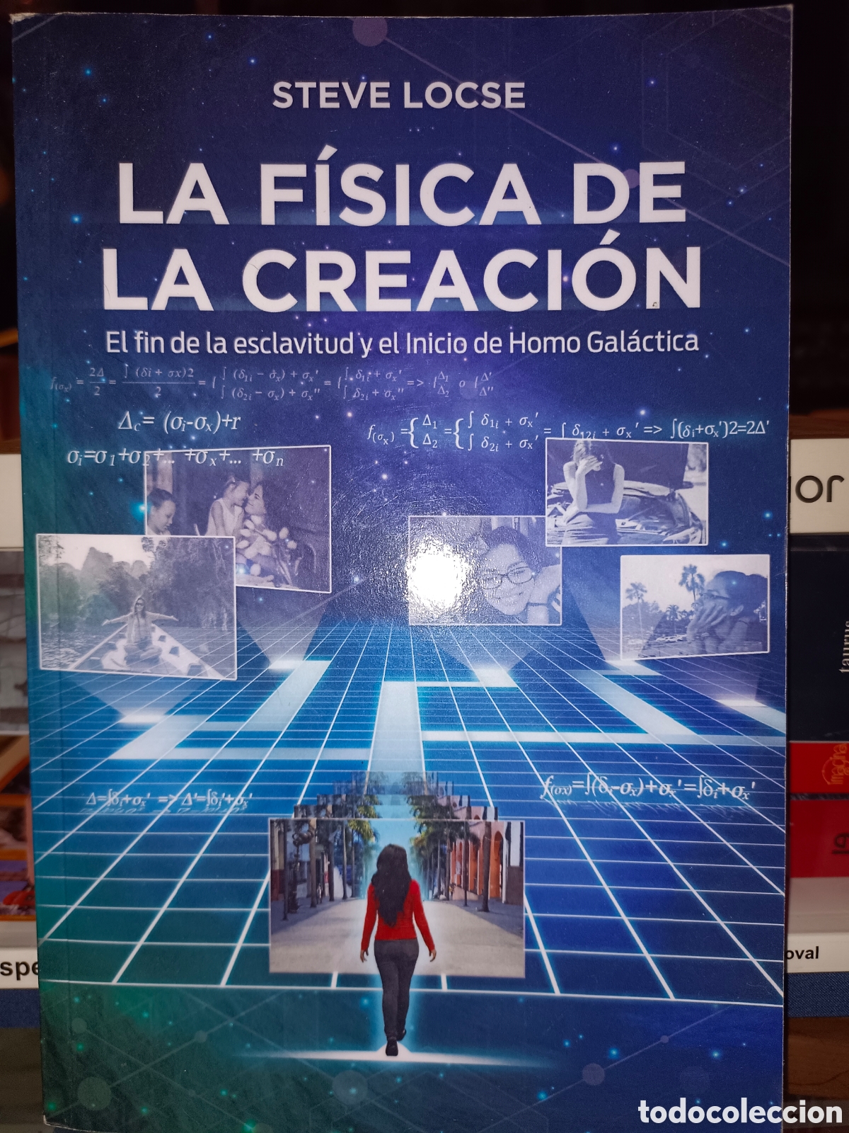 Libros de segunda mano de ciencias: La F&iacute;sica de la Creaci&oacute;n