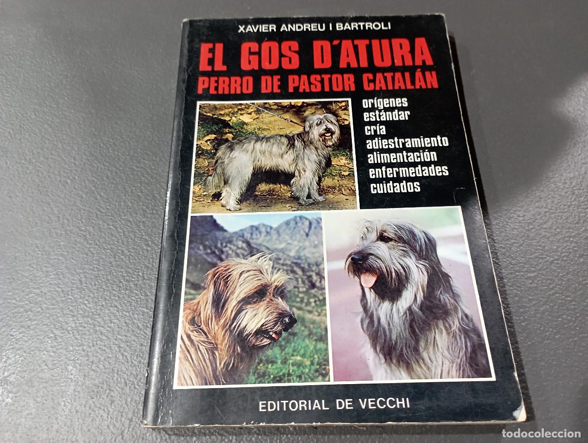 Libros de segunda mano: EL GOS D'ATURA RERRO DE PASTOR CATAL&Aacute;N - Xavier Andreu i Bartroli - ed. de Vecchi HR1
