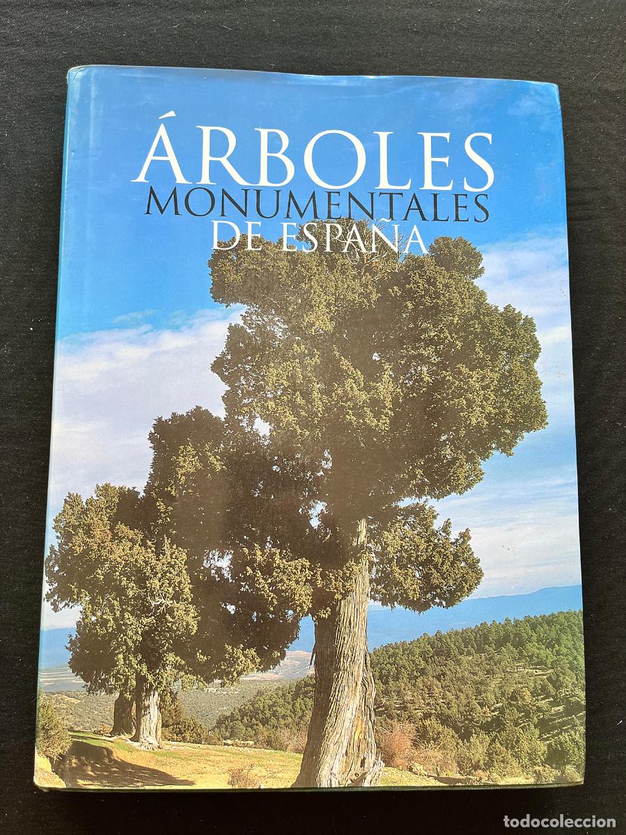 Libros de segunda mano: &Aacute;RBOLES MONUMENTALES DE ESPA&Ntilde;A. MOYA / PLUMED / MOYA. 2002. CLH