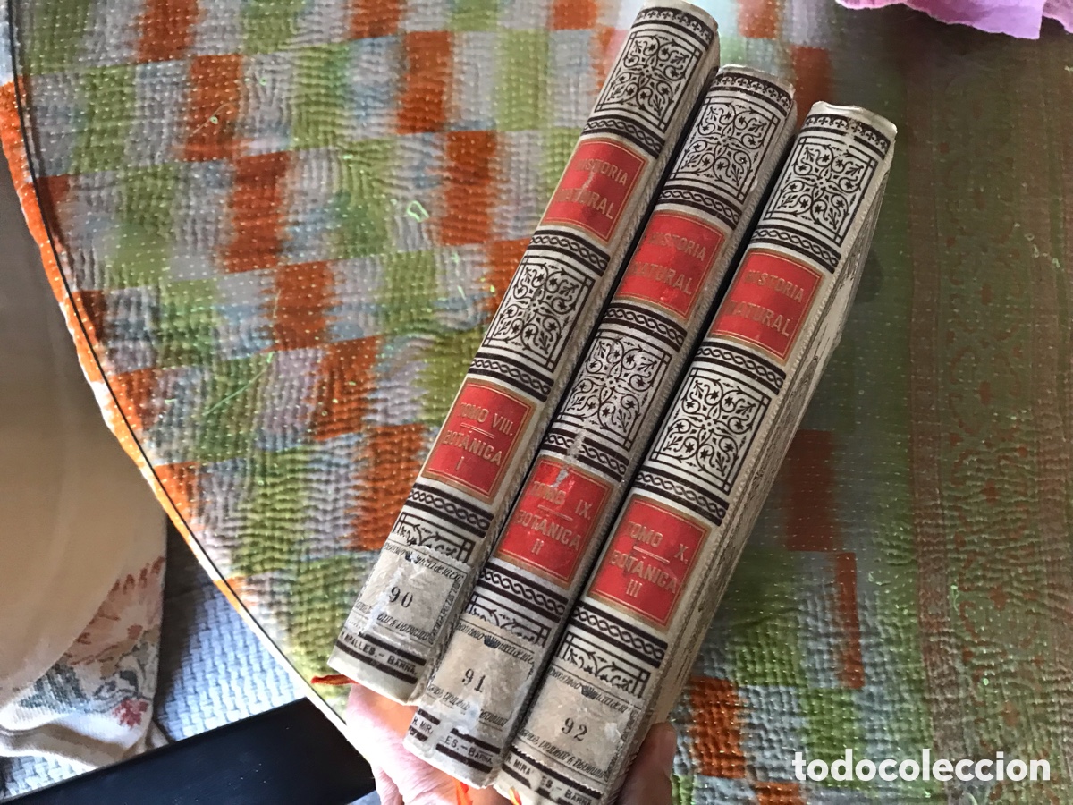 Libros de segunda mano: Historia Natural Bot&aacute;nica I, II y III. Tomos VIII, IX y X. Montaner y Sim&oacute;n 1893