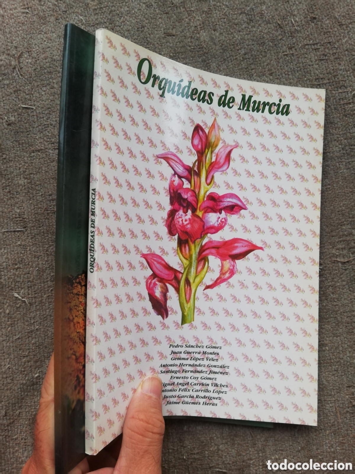 Libros de segunda mano: Lote Aves urbanas y Orquideas de Murcia - Foto 2