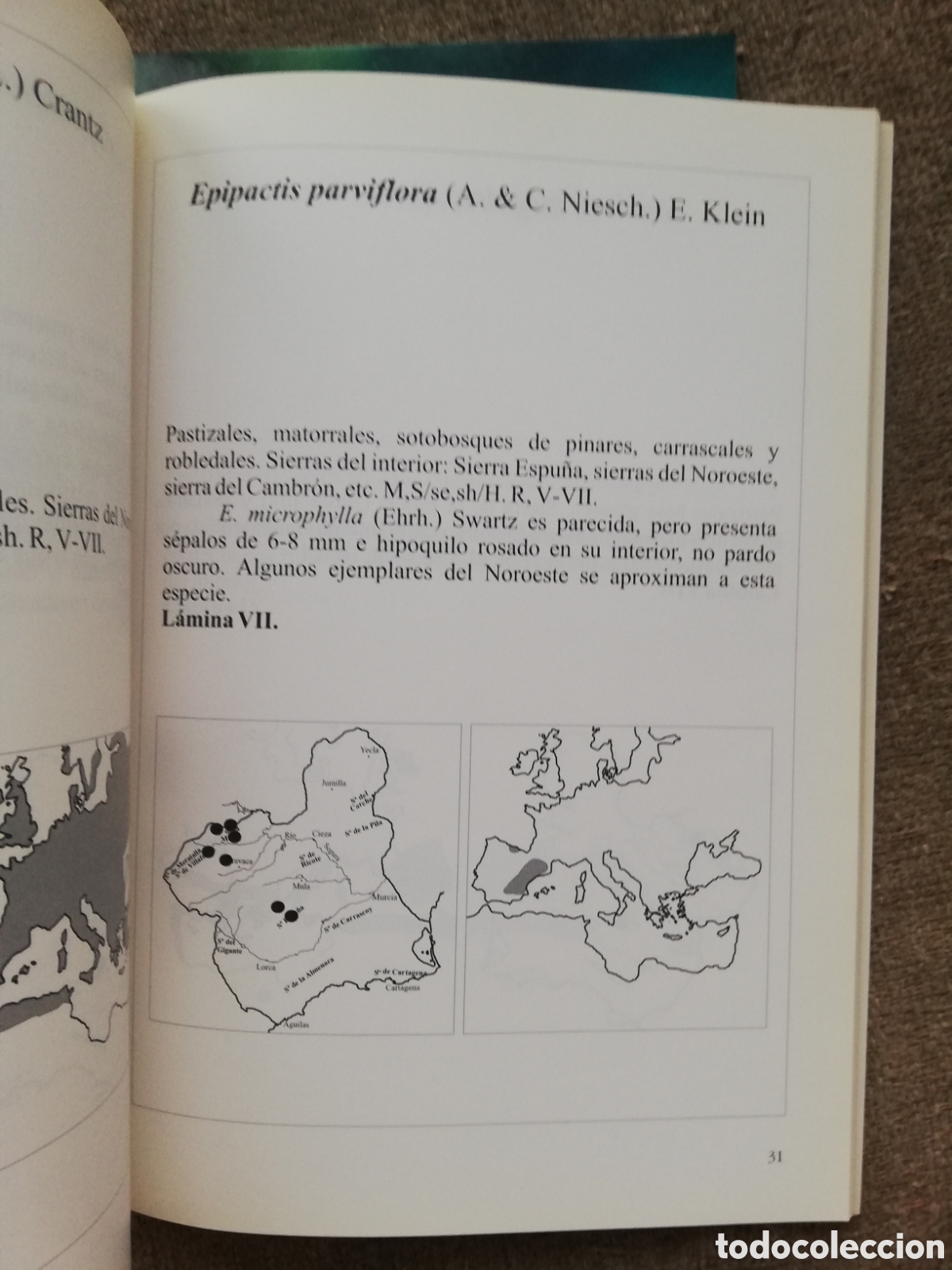 Libros de segunda mano: Lote Aves urbanas y Orquideas de Murcia - Foto 3