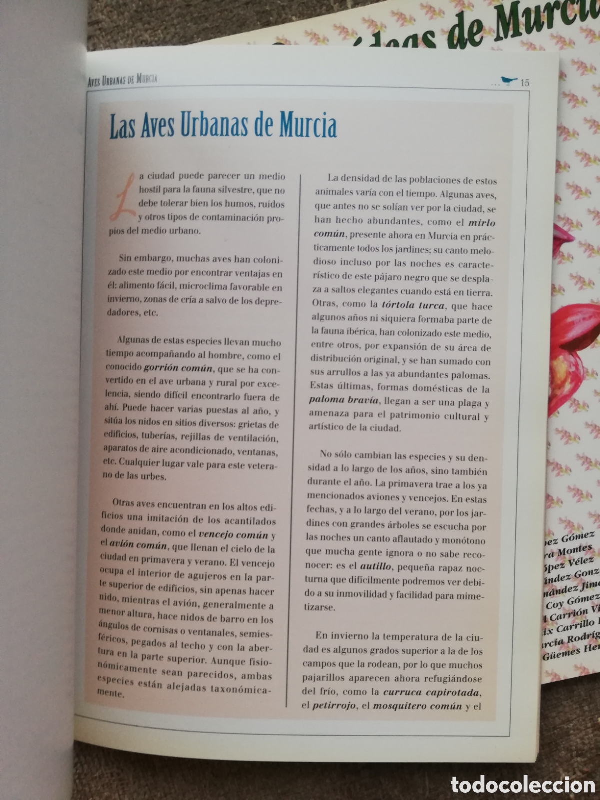 Libros de segunda mano: Lote Aves urbanas y Orquideas de Murcia - Foto 5