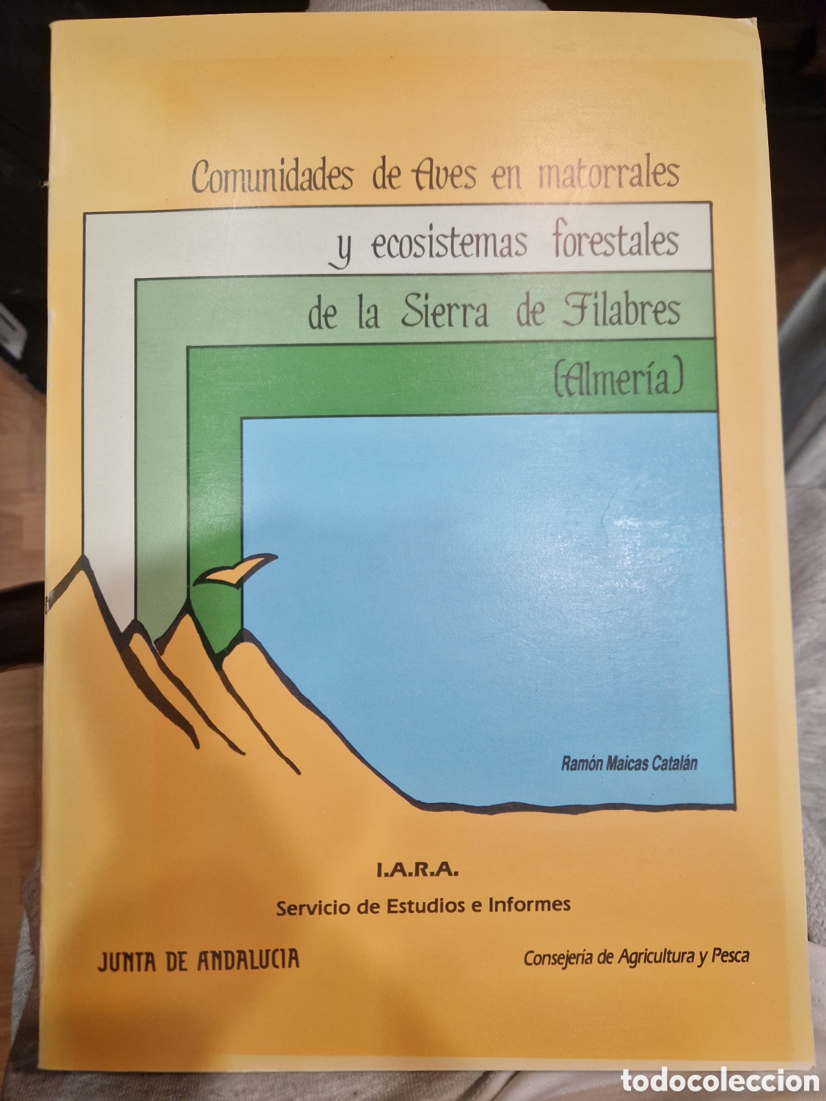 Libri di seconda mano: Comunidades de aves en matorrales y ecosistemas forestales en la Sierra de Fiilabres, Almer&iacute;a