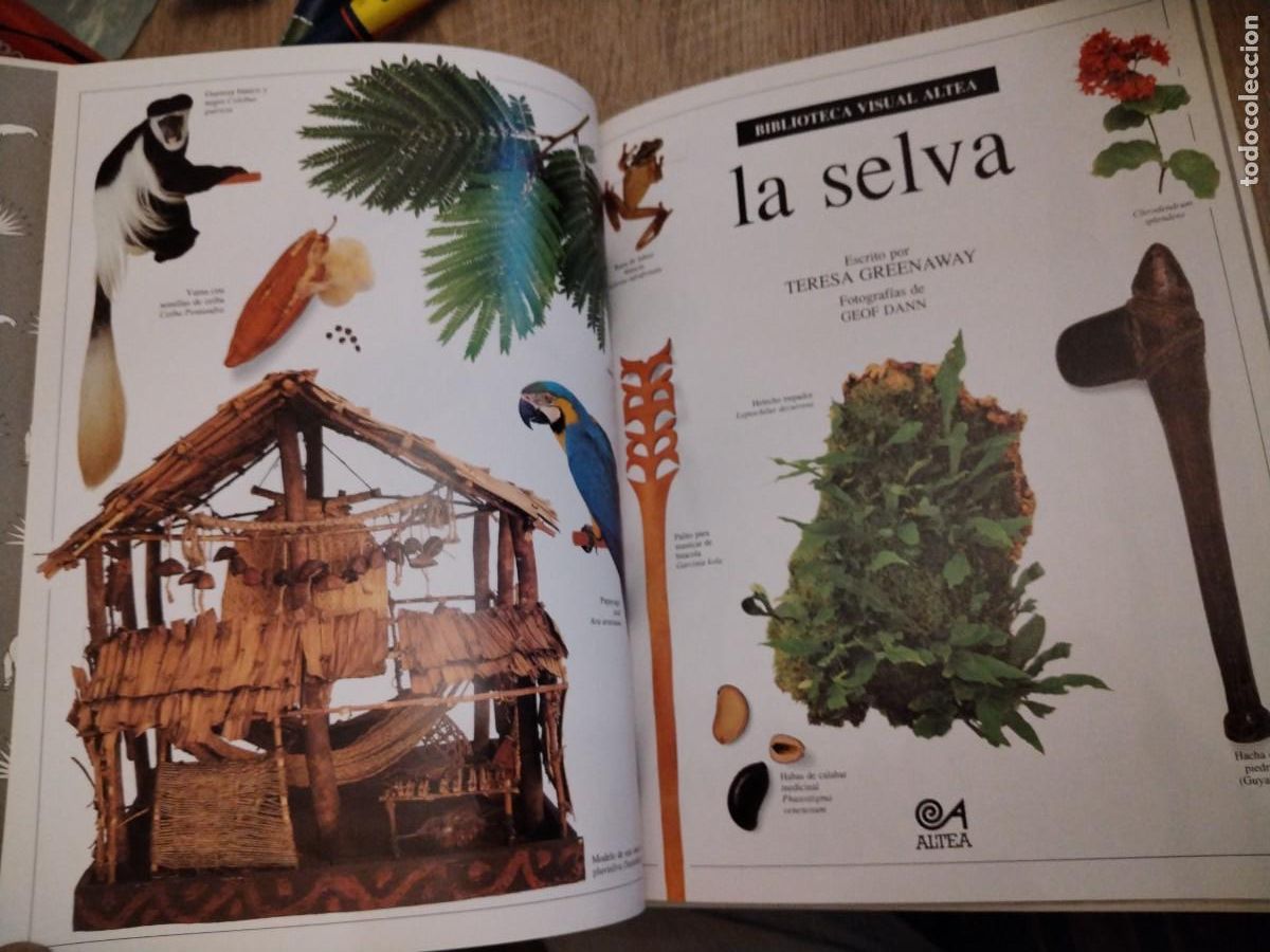 Libros de segunda mano: La selva -biblioteca visual altea - Foto 3
