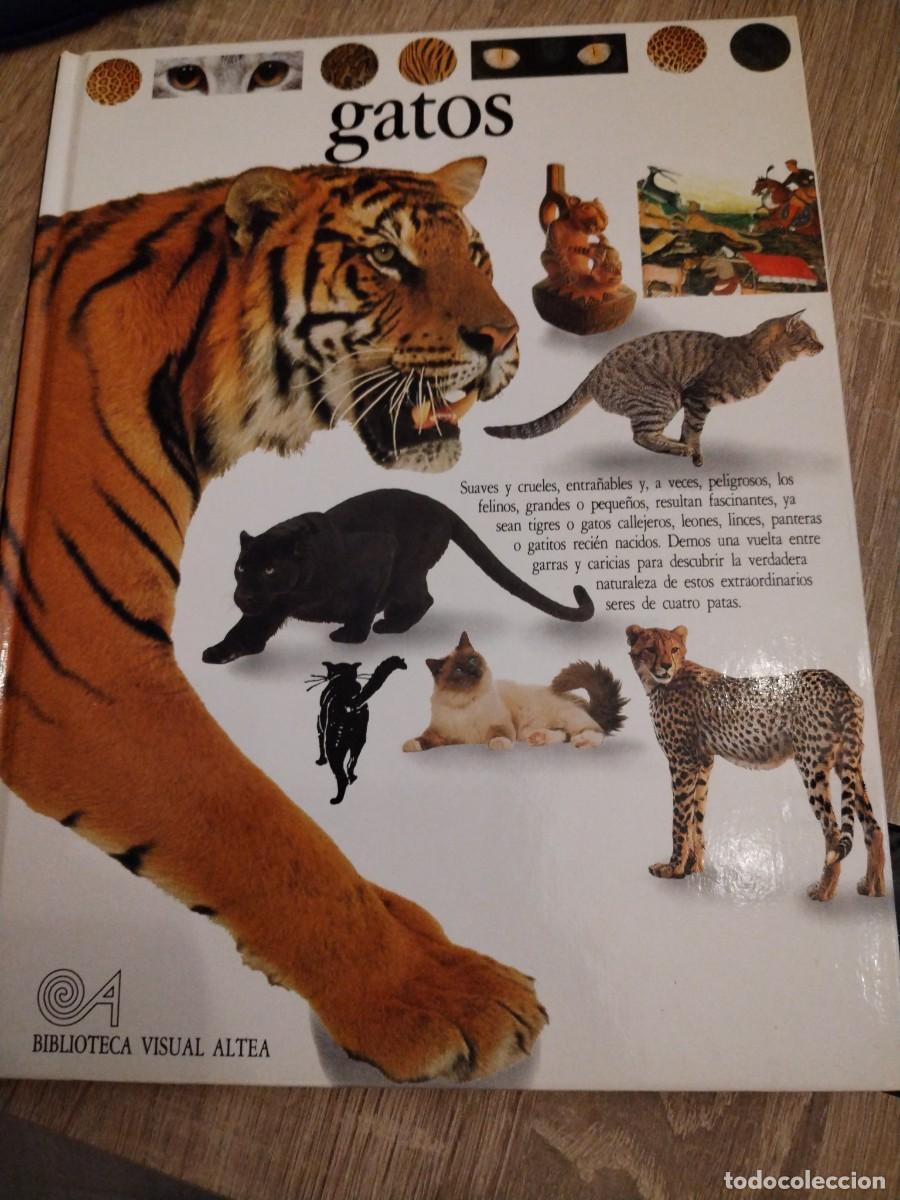 Libros de segunda mano: Gatos- biblioteca visual altea