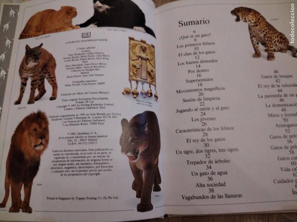 Libros de segunda mano: Gatos- biblioteca visual altea - Foto 3