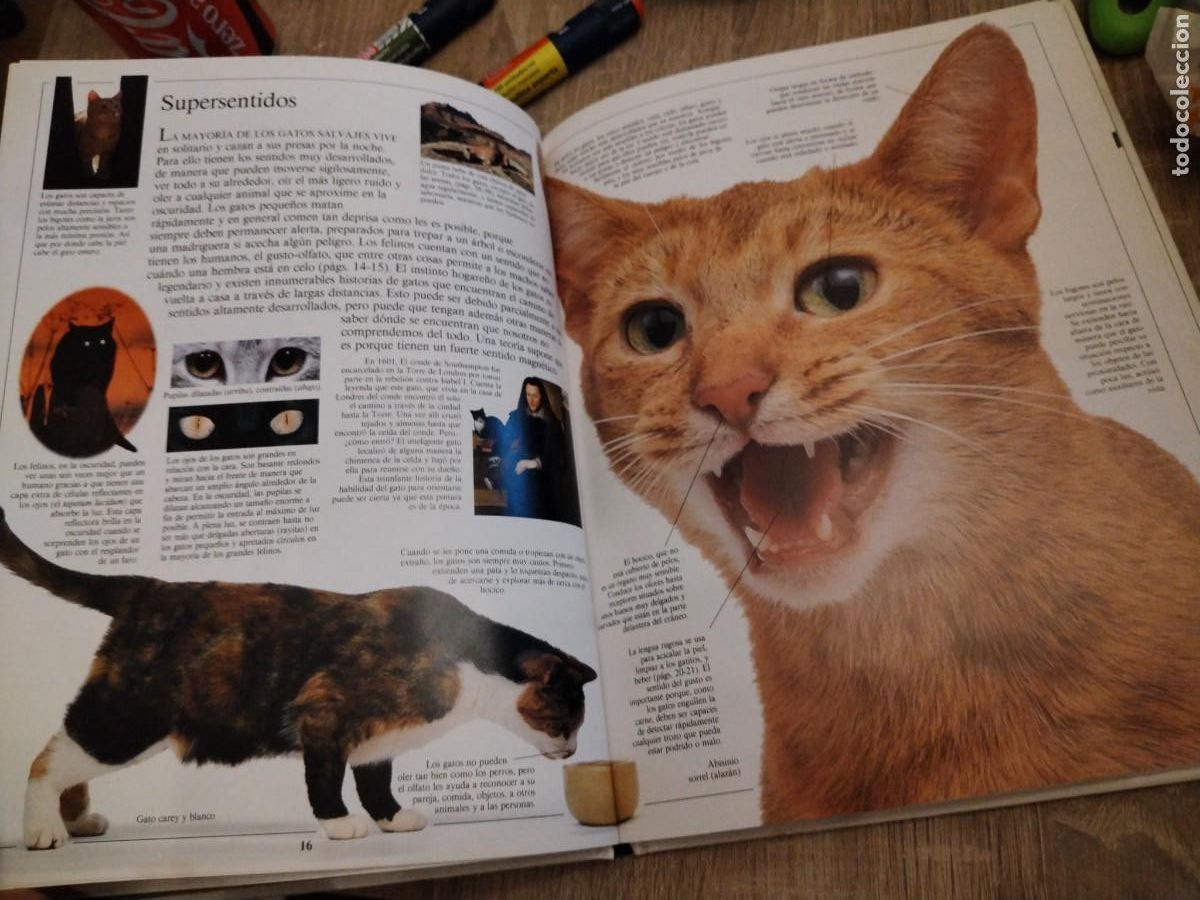Libros de segunda mano: Gatos- biblioteca visual altea - Foto 4
