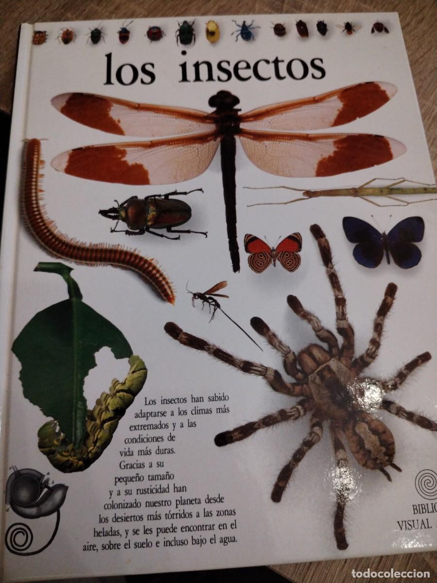Libros de segunda mano: Los insectos : biblioteca visual altea - Foto 1