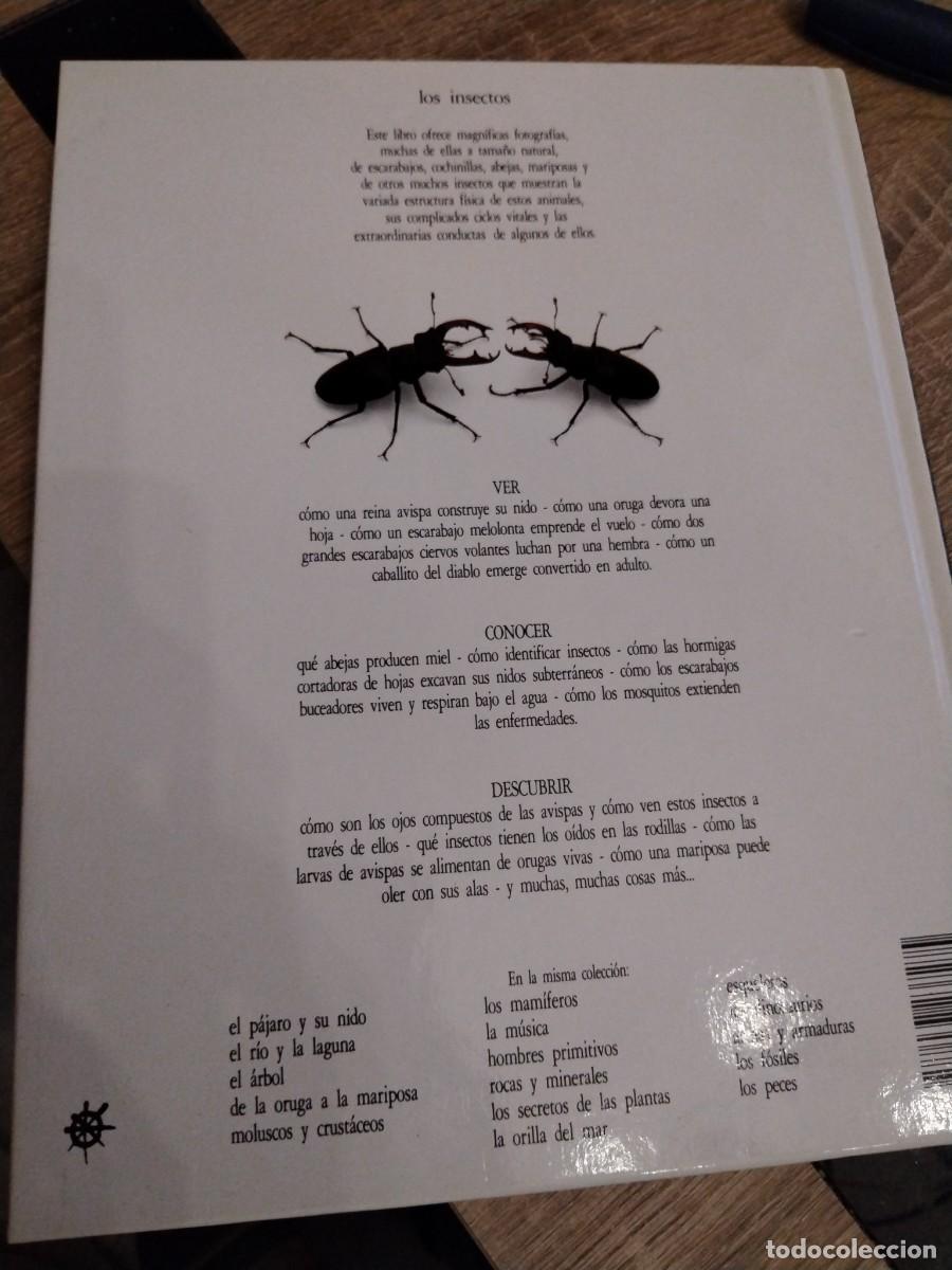 Libros de segunda mano: Los insectos : biblioteca visual altea - Foto 2