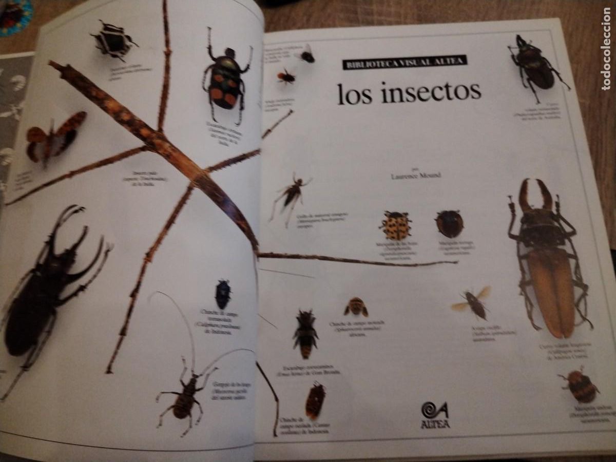 Libros de segunda mano: Los insectos : biblioteca visual altea - Foto 3