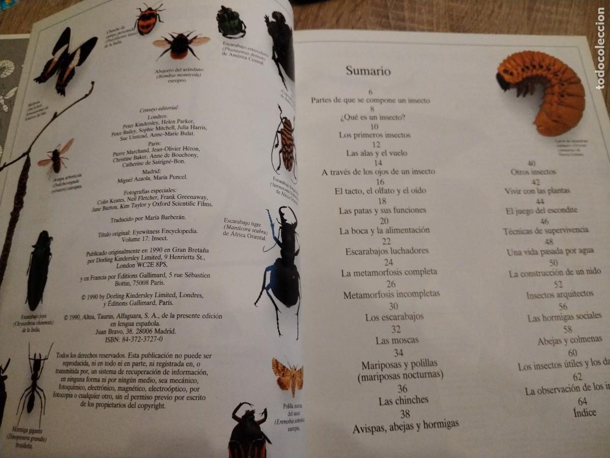 Libros de segunda mano: Los insectos : biblioteca visual altea - Foto 4