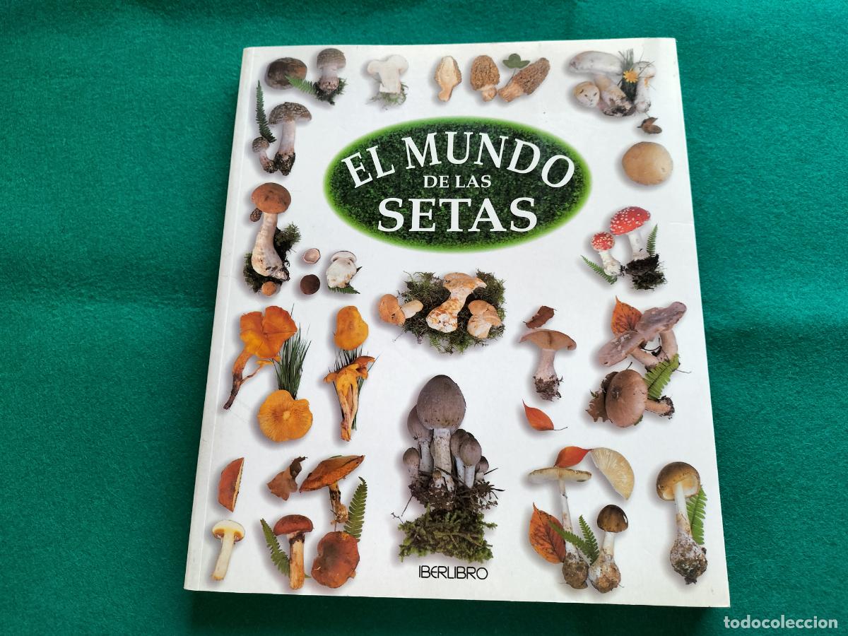 Libros de segunda mano: EL MUNDO DE LAS SETAS - GERARD HOUDOU - IBERLIBRO - 1996 - GRAN FORMATO