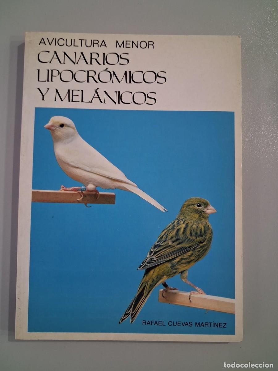 Libros de segunda mano: Canarios lipocr&oacute;micos y mel&aacute;nicos avicultura menor Rafael Cuevas Mart&iacute;nez