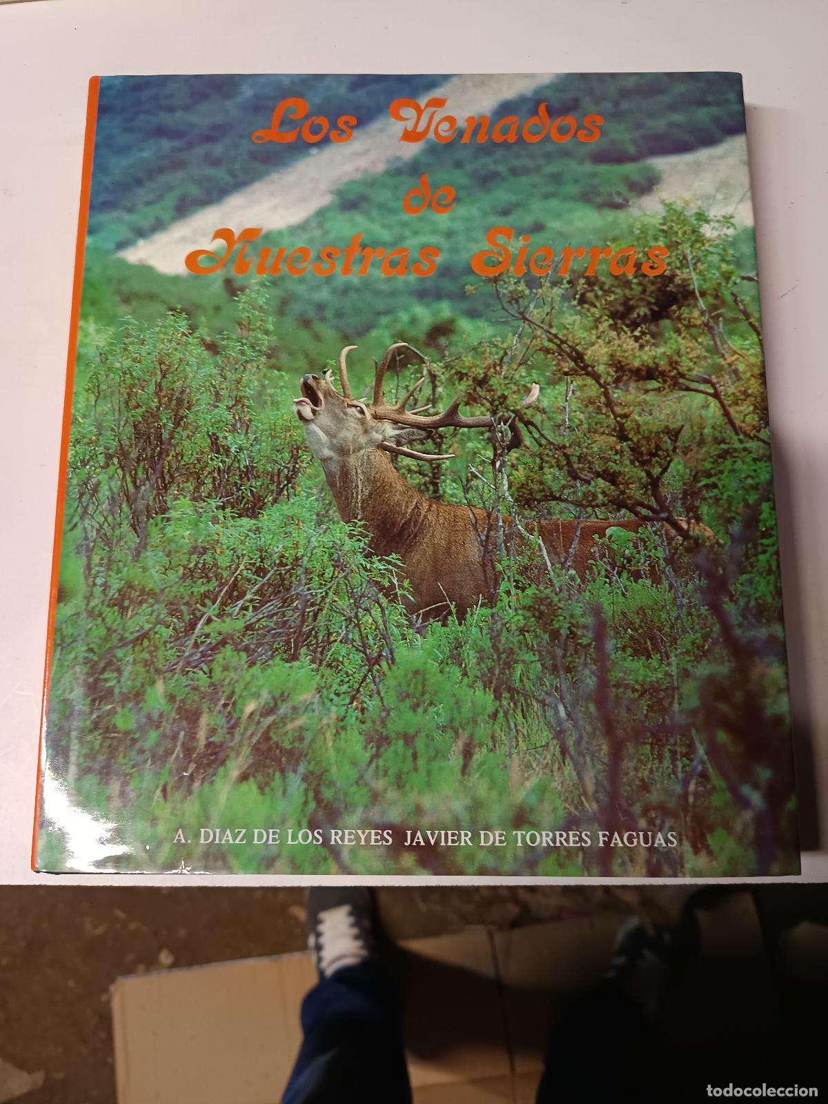 Libros de segunda mano: LOS VENADOS DE NUESTRAS SIERRAS. A. DIAZ Y JAVIER DE TORRES. MADRID, 1990. PAGS: 227,