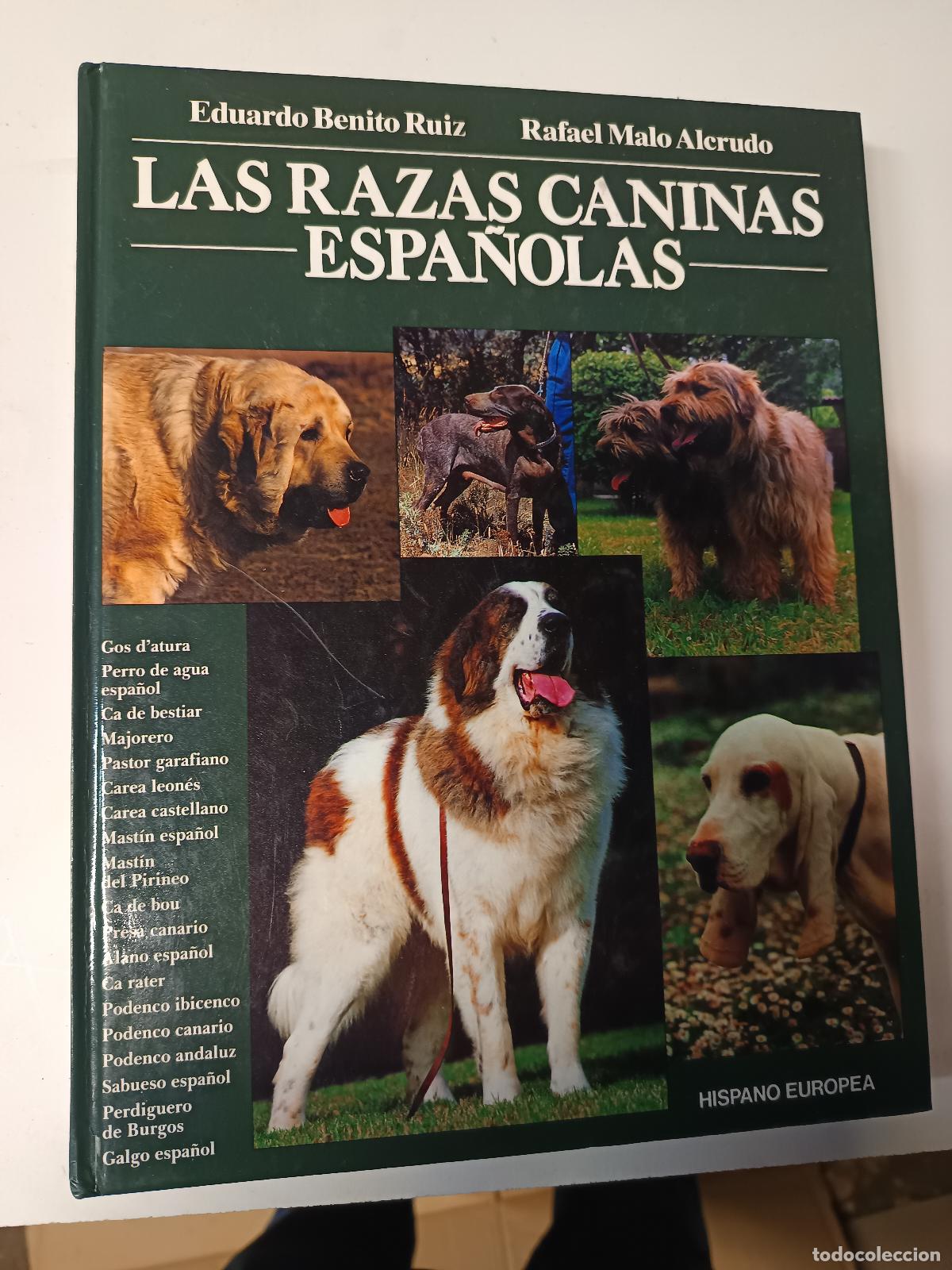 Libros de segunda mano: LAS RAZAS CANINAS ESPA&Ntilde;OLAS. Benito Ruiz, Eduardo; Malo Alcrudo, Rafael (Coor.) Perros Mast&iacute;n Alano
