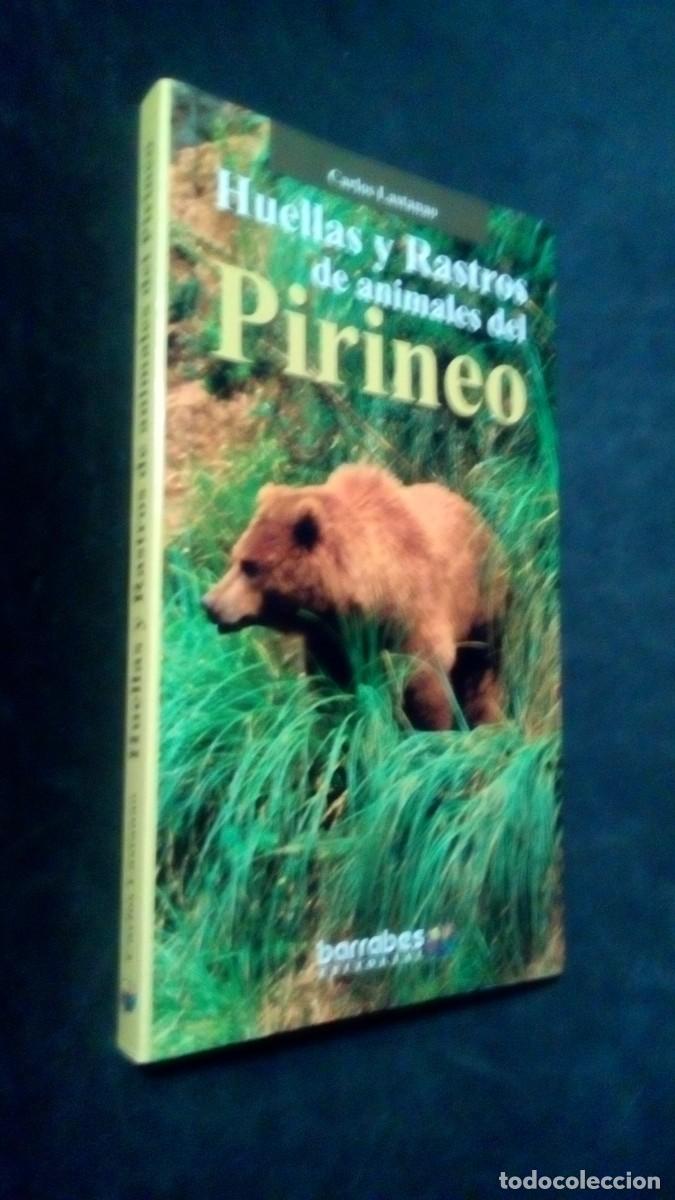 Libros de segunda mano: HUELLAS Y RASTROS DE ANIMALES DEL PIRINEO / CARLOS LASTANAO / ED. BARRABES 2002 / SIN USAR / HUESCA