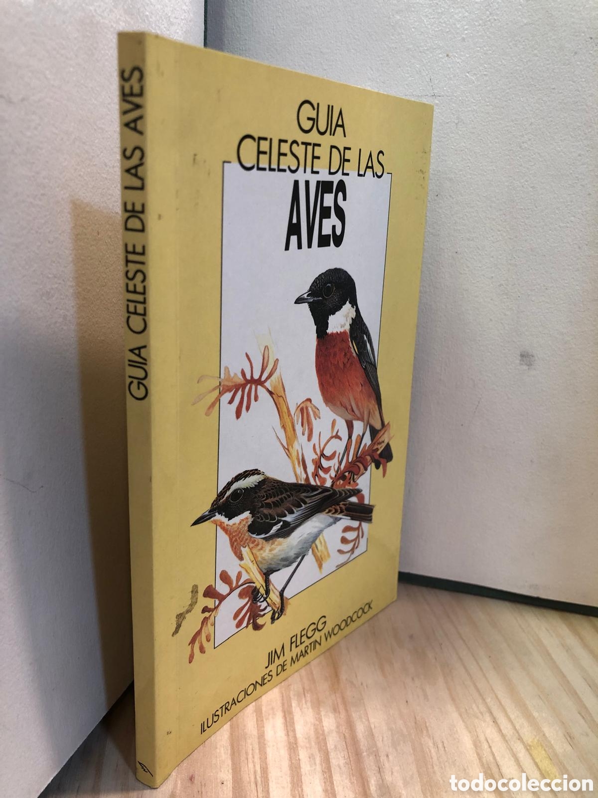 Gu&iacute;a Celeste de las aves - Jim Flegg