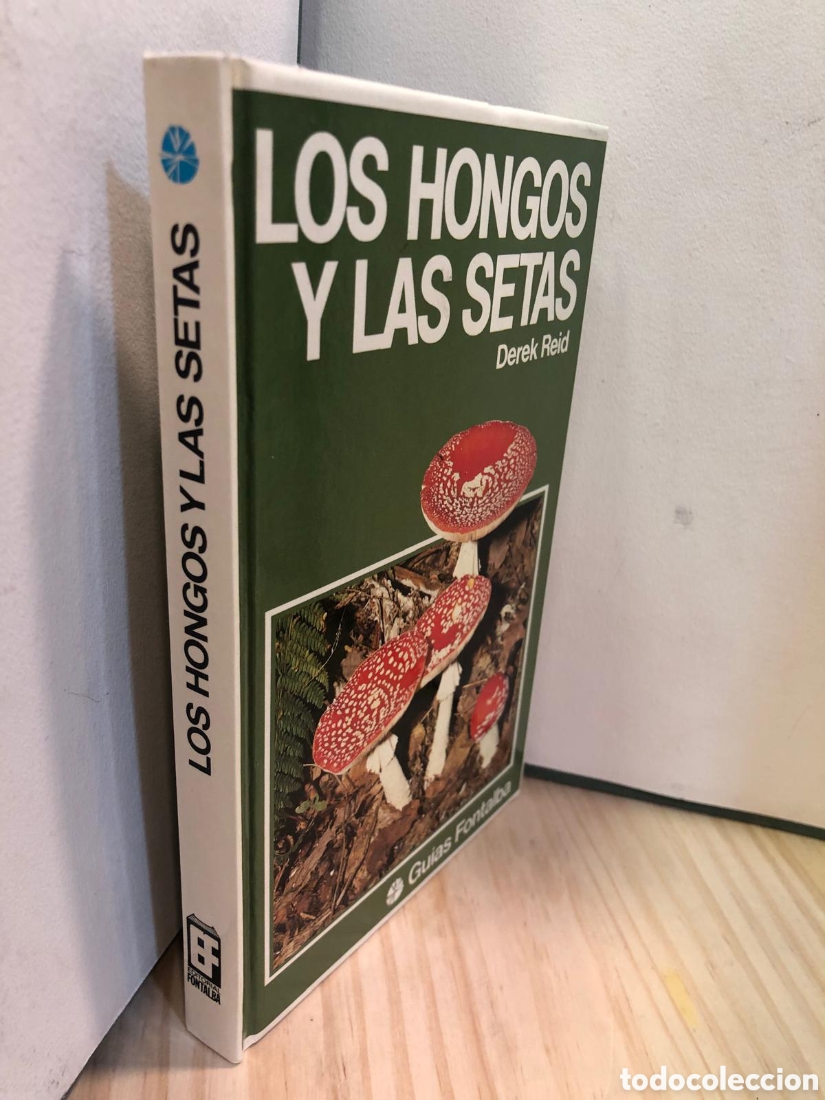 Los hongos y las setas - Derek Reid