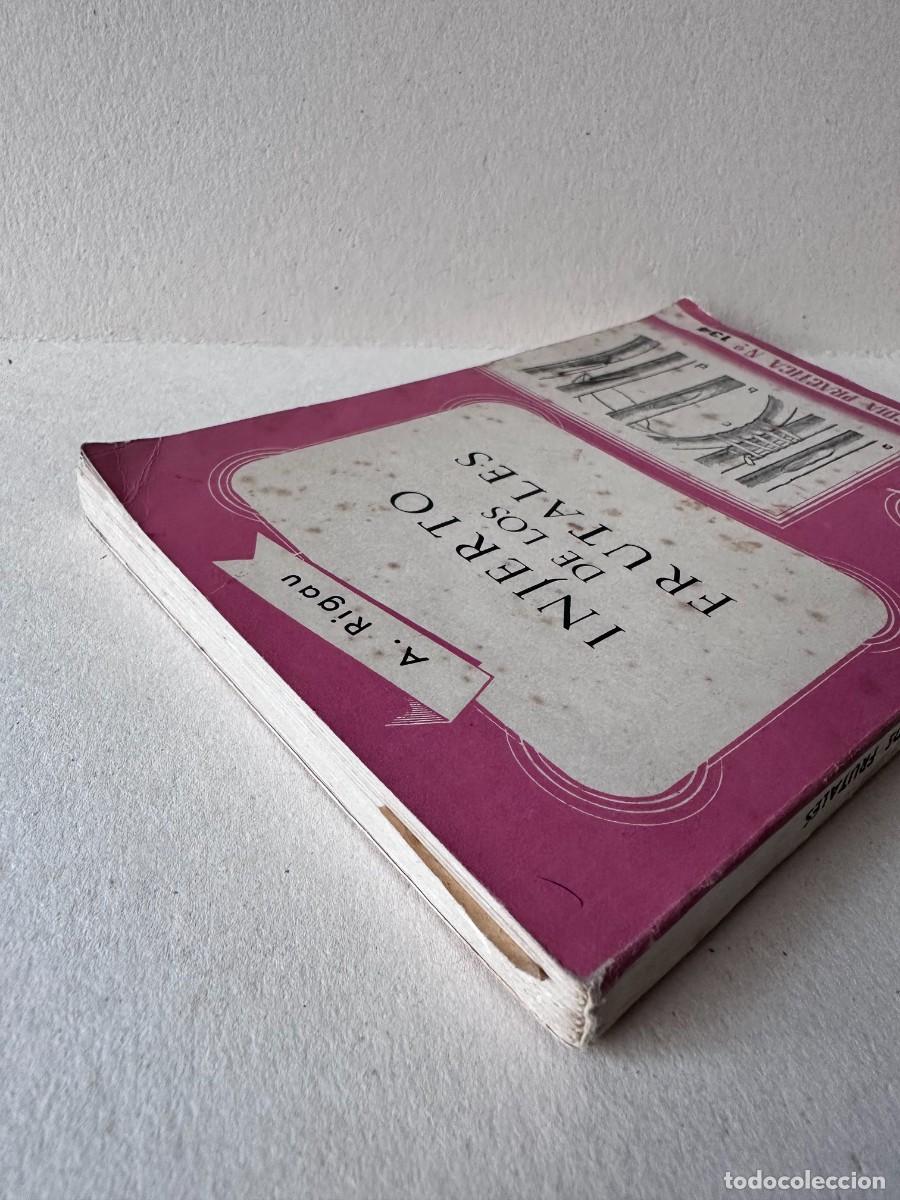 Libros de segunda mano: A. Rigau - Injerto de los frutales - Foto 3