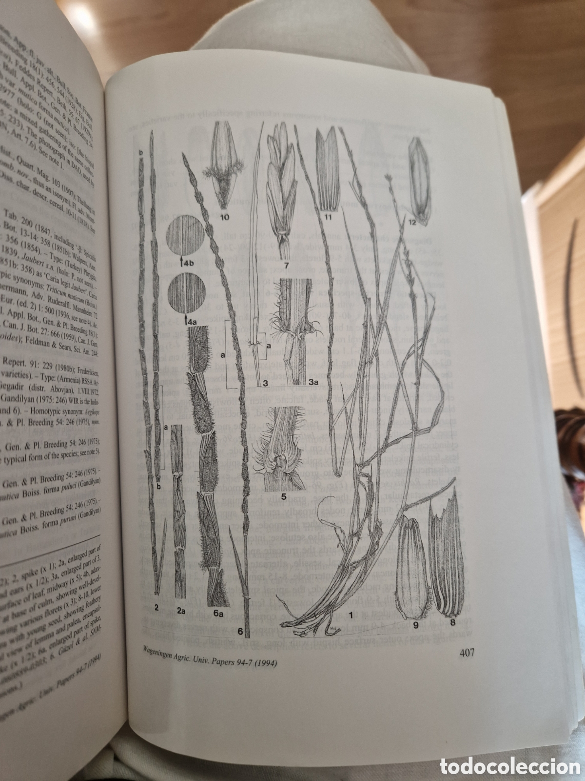 Libros de segunda mano: SLAGEREN, M.W. Van. Wild wheats - Foto 3