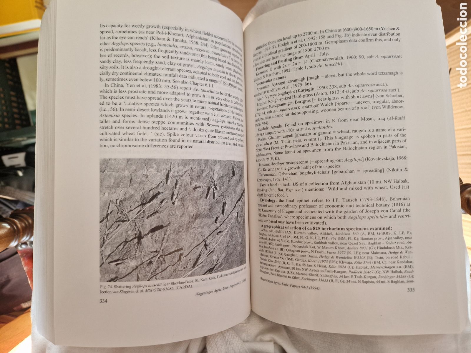 Libros de segunda mano: SLAGEREN, M.W. Van. Wild wheats - Foto 4