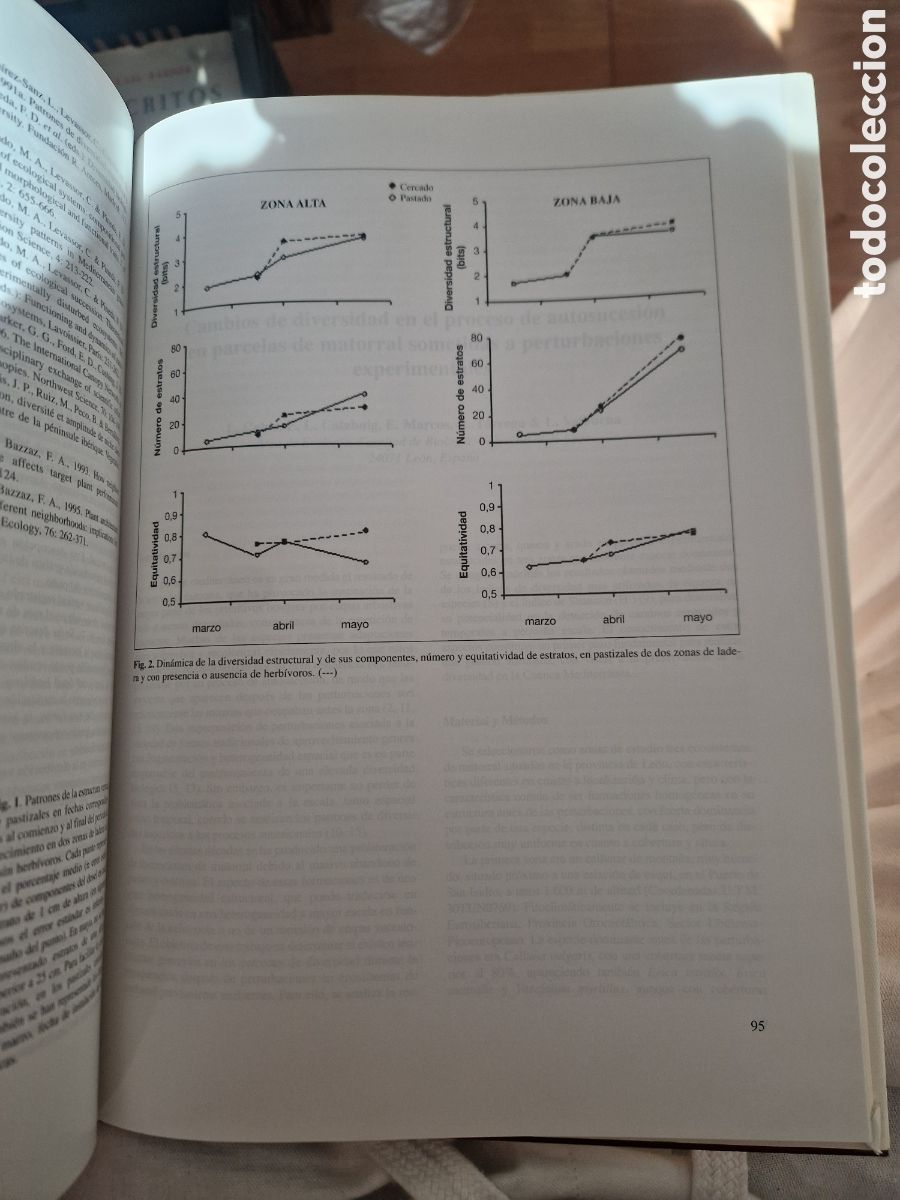Libros de segunda mano: DIVERSIDAD biol&oacute;gica y biodiversidad - Foto 3