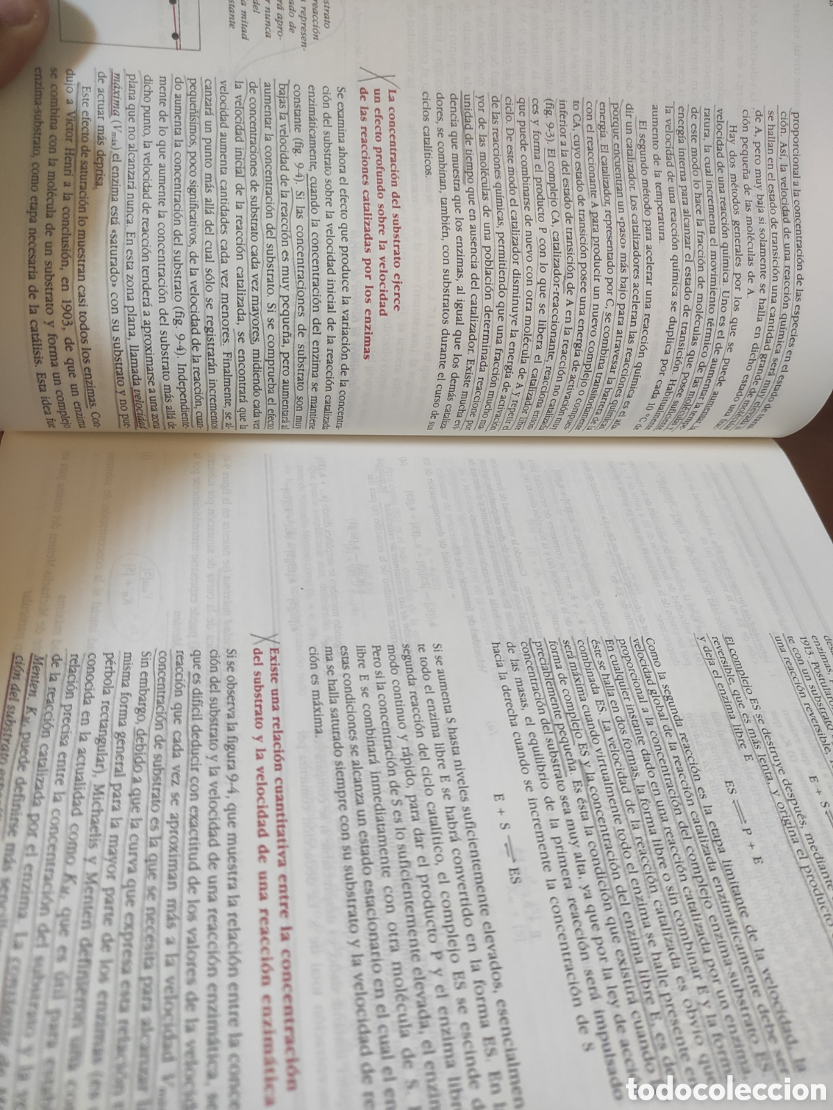 Libros de segunda mano de ciencias: Albert L. Lehninger - Principios de Bioqu&iacute;mica - Foto 4