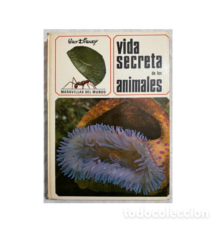Libros de segunda mano: 1968, Vida Secreta de los Animales. Colecci&oacute;n Maravillas del Mundo, Walt Disney.