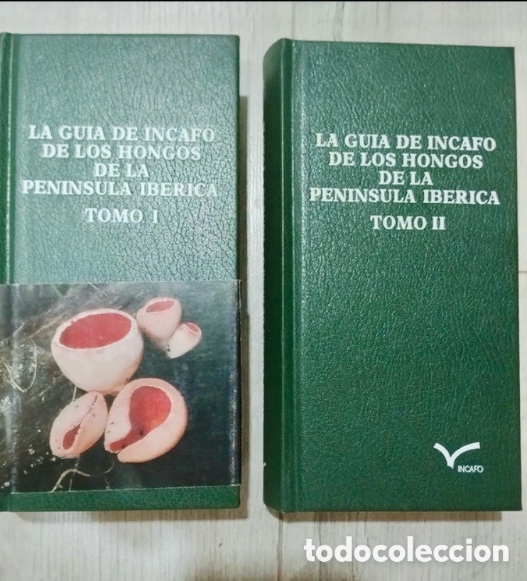 Libros de segunda mano: La gu&iacute;a incafo de los hongos de la pen&iacute;nsula ib&eacute;rica.
