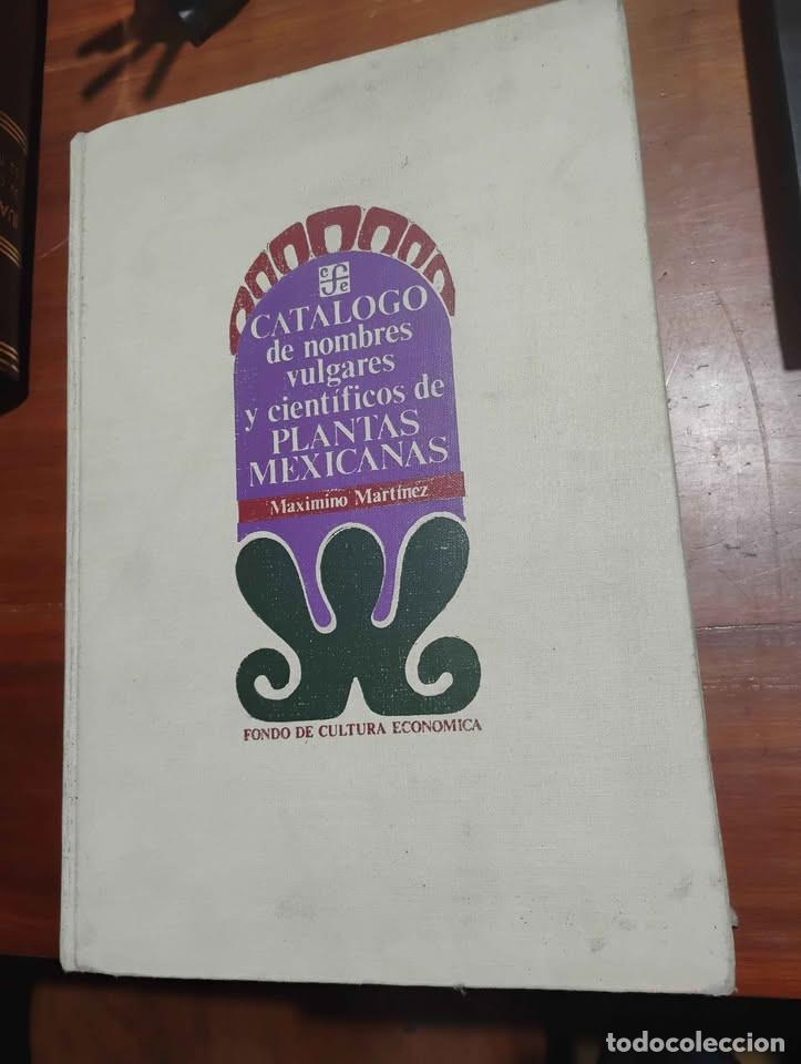Libros de segunda mano: Cat&aacute;logo de Nombres Vulgares y Cient&iacute;ficos de Plantas Mexicanas por Maximino Mart&iacute;nez, FCE