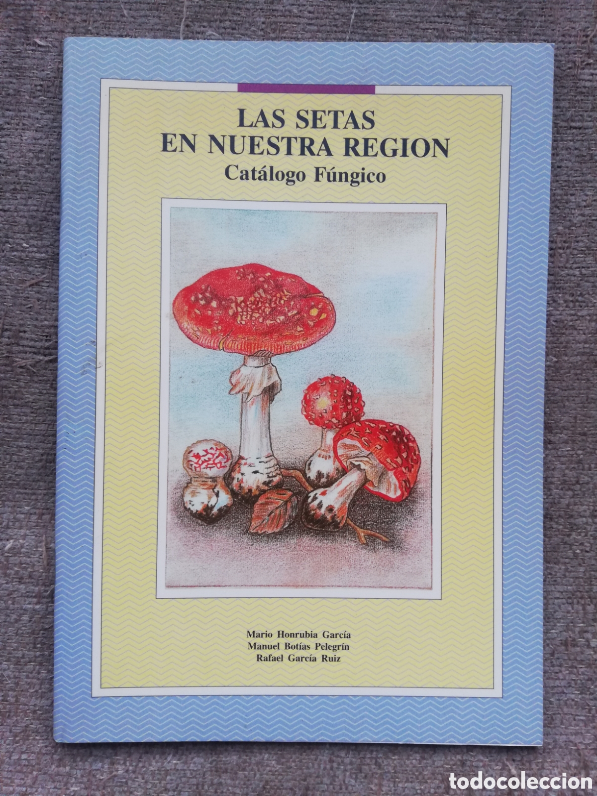 Livres d'occasion: Las setas en nuestra regi&oacute;n (Murcia). Cat&aacute;logo f&uacute;ngico
