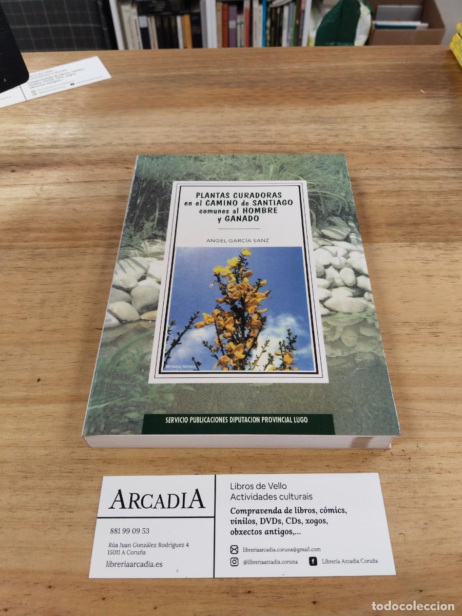 Libros de segunda mano: Plantas curadoras en el Camino de Santiago comunes al hombre y al ganado - &Aacute;ngel Gac&iacute;a Sanz