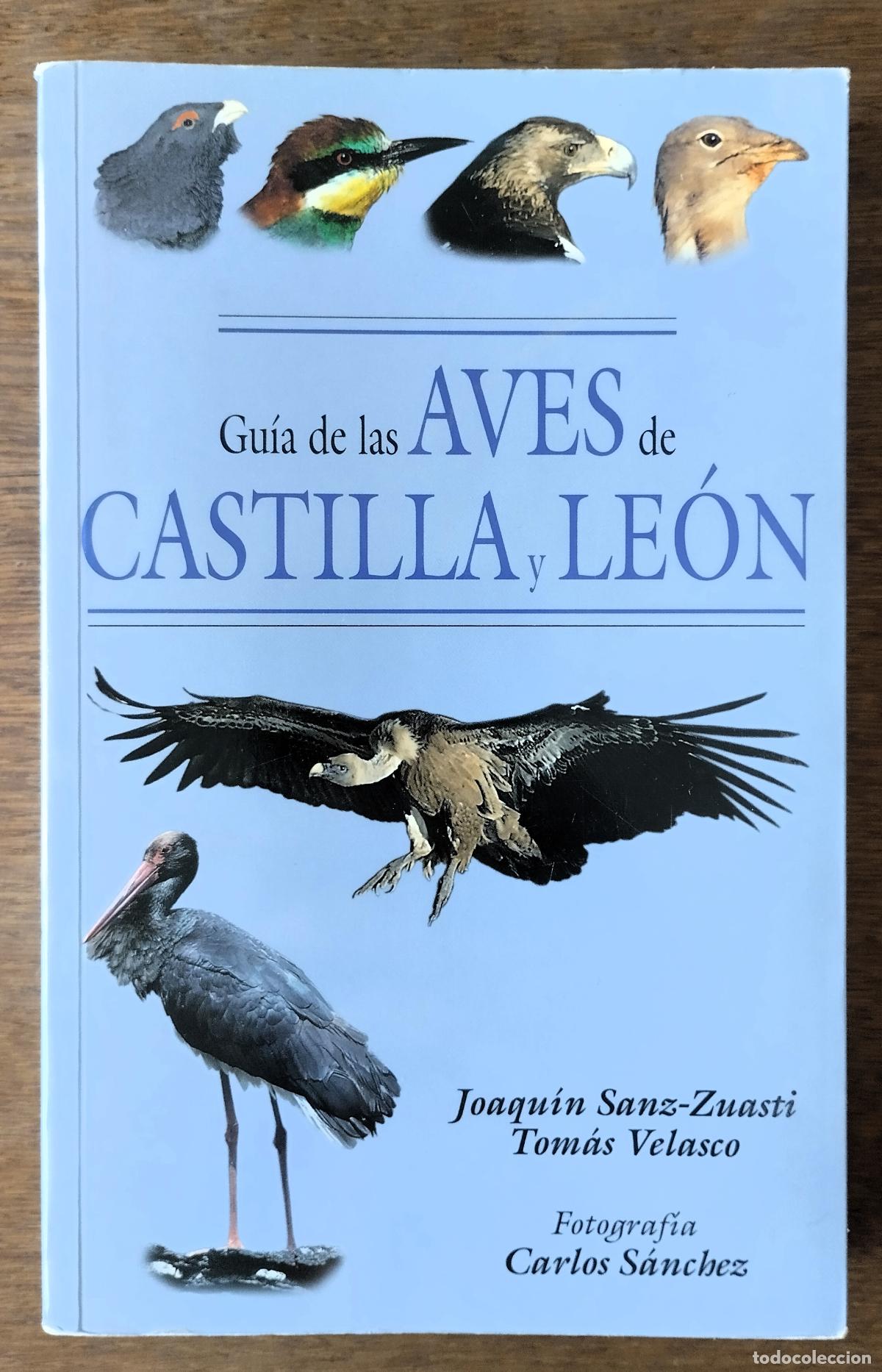 Libros de segunda mano: Gu&iacute;a de las aves de Castilla y Le&oacute;n, Valladolid, 2001,