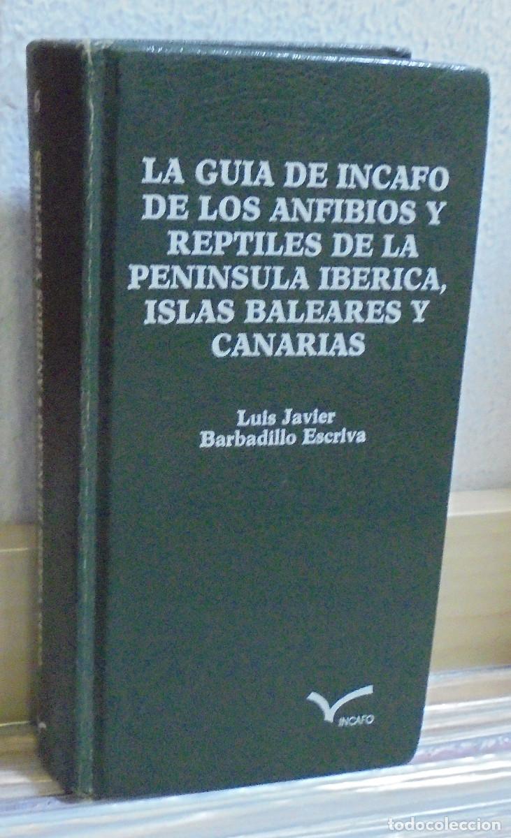 Libros de segunda mano: La gu&iacute;a de Incafo de los anfibios y reptiles de la Peninsula Ib&eacute;rica, Islas Baleares y Canarias