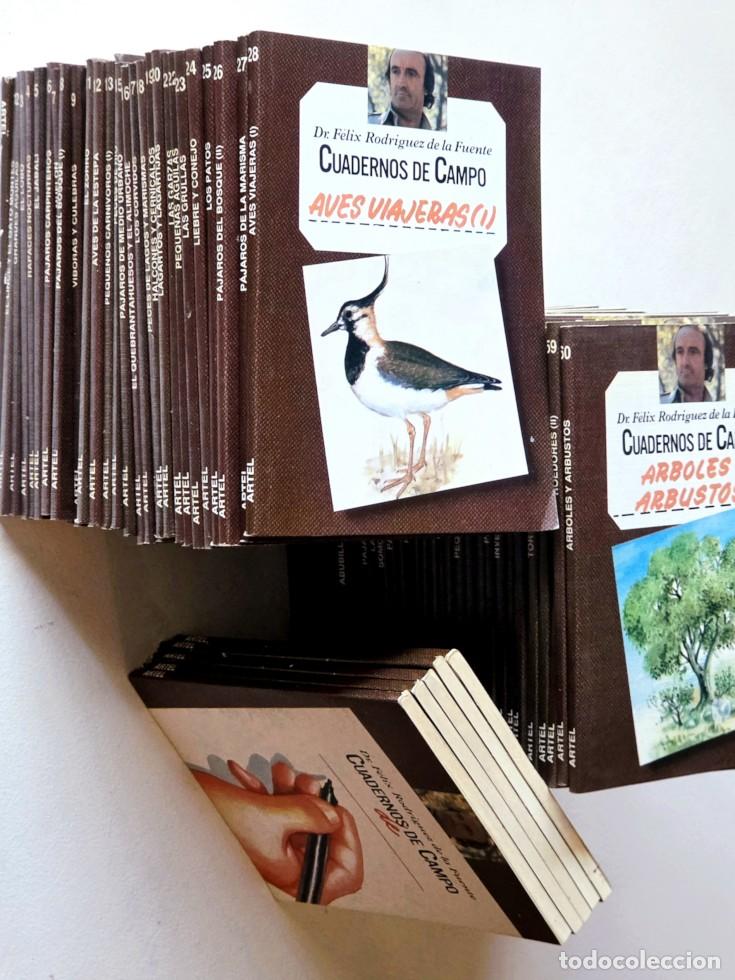 Libros de segunda mano: COLECCION COMPLETA Cuadernos de Campo. 60 Tomos + 6 libretos para notas, - RODR&Iacute;GUEZ DE LA FUENTE