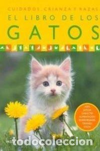 Libros de segunda mano: EL LIBRO DE LOS GATOS: CUIDADOS, CRIANZA Y RAZAS - PADDY CUTTS