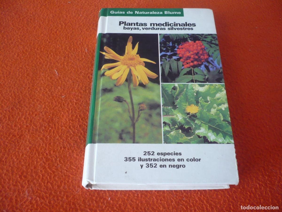 Libros de segunda mano: PLANTAS MEDICINALES BAYAS VERDURAS SILVESTRES GUIAS NATURALEZA BLUME