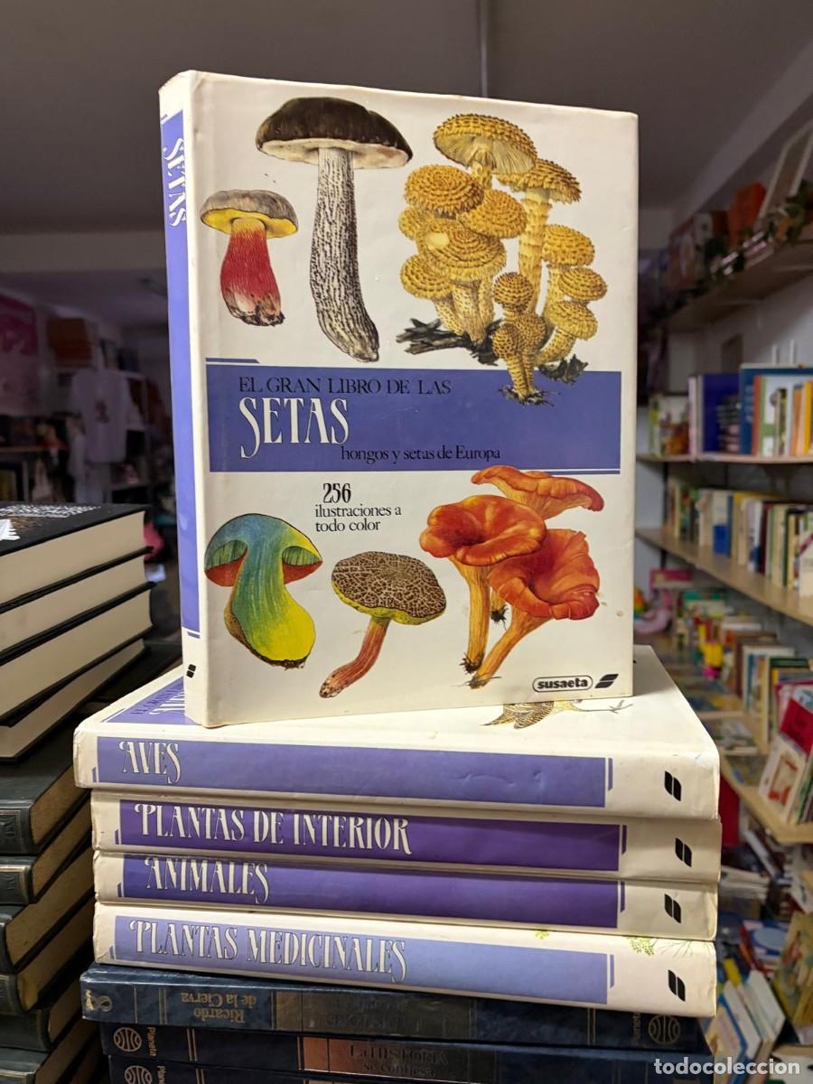 Libros de segunda mano: COLECCION EL GRAN LIBRO DE LAS SETAS, AVES, PLANTAS DE INTERIOR, ANIMALES, PLANTAS MEDICINALES