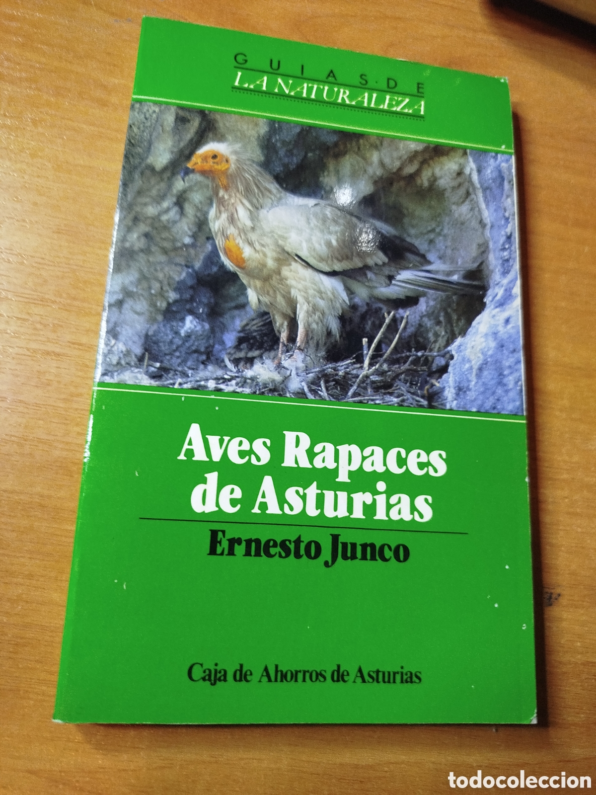 Libros de segunda mano: Aves rapaces de Asturias. Ernesto junco. Gu&iacute;as de la naturaleza