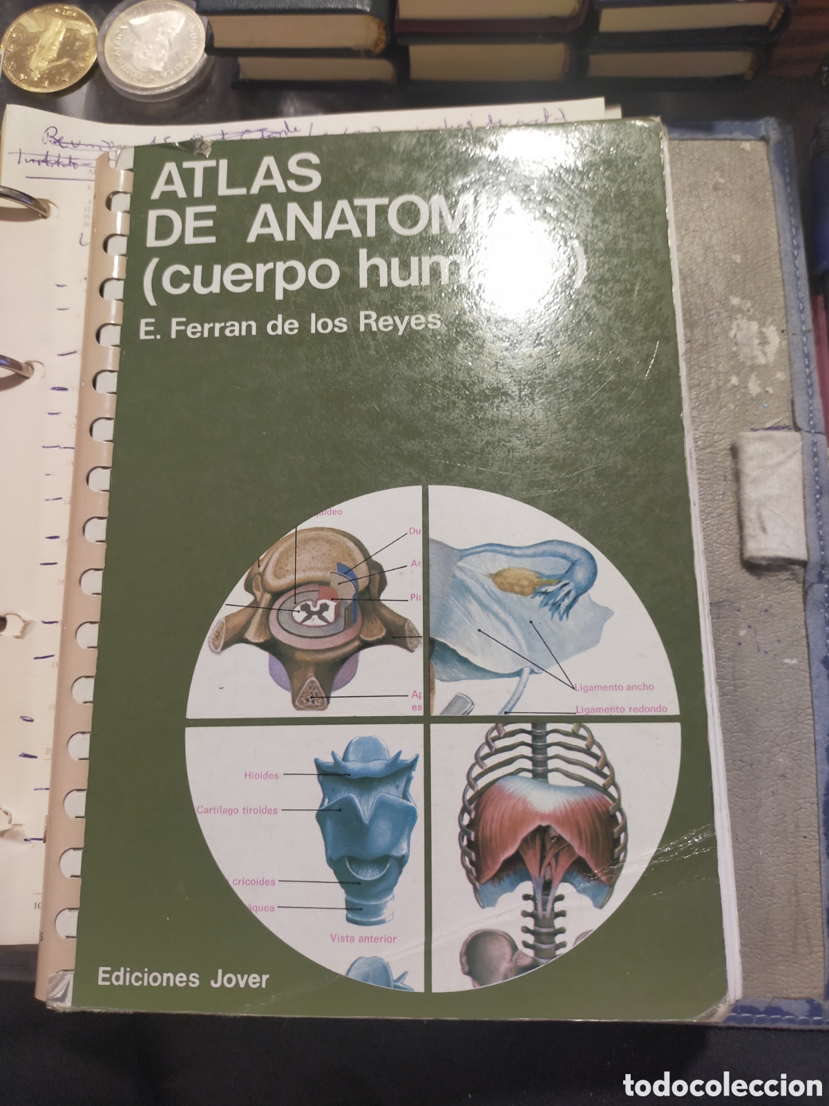 Libros de segunda mano: ATLAS DE ANATOM&Iacute;A CUERPO HUMANO E. FERRAN DE LOS REYES ED. JOVER
