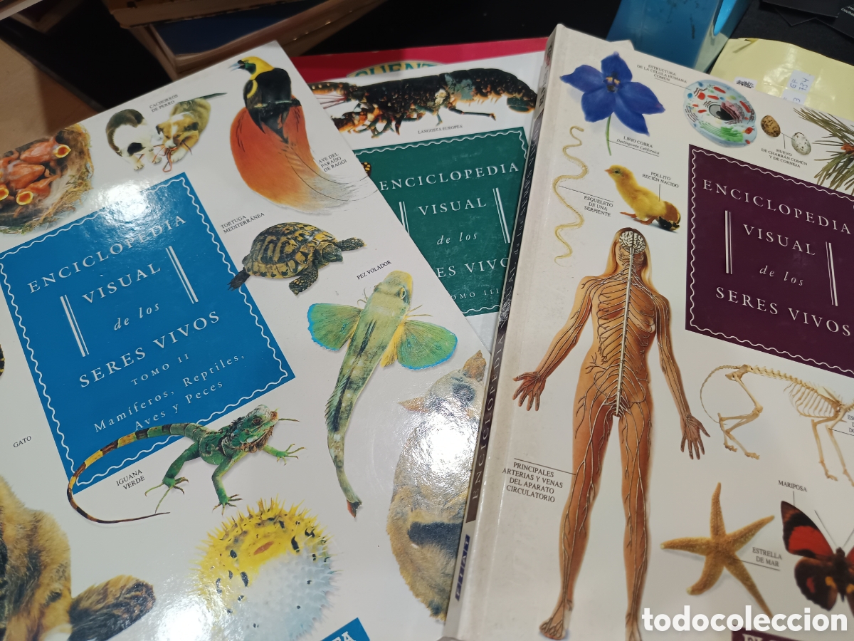 Libros de segunda mano: COLECCI&Oacute;N COMPLETA. Enciclopedia visual de los seres vivos. Tomos 1,2 y 3 - Foto 1