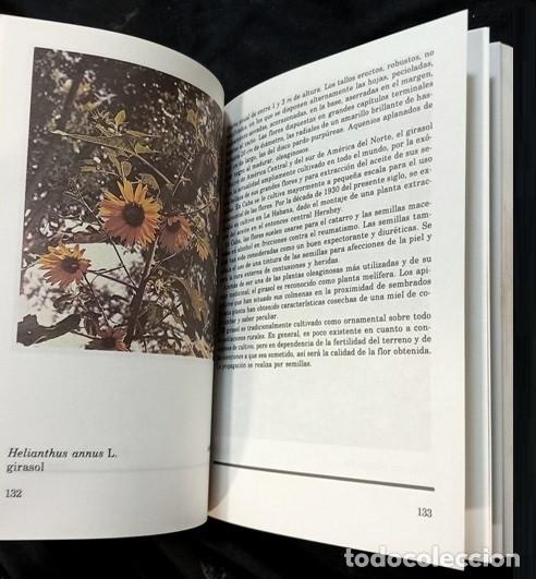 Libros de segunda mano: M1191 - PLANTAS Y HIERBAS MEDICINALES. CONOCERLAS. FLORES. FRUTOS. FLORA. V. FUENTES. M. GRANDA.