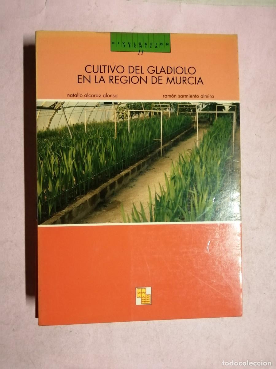 Libros de segunda mano: CULTIVO DEL GLADIOLO EN LA REGION DE MURCIA