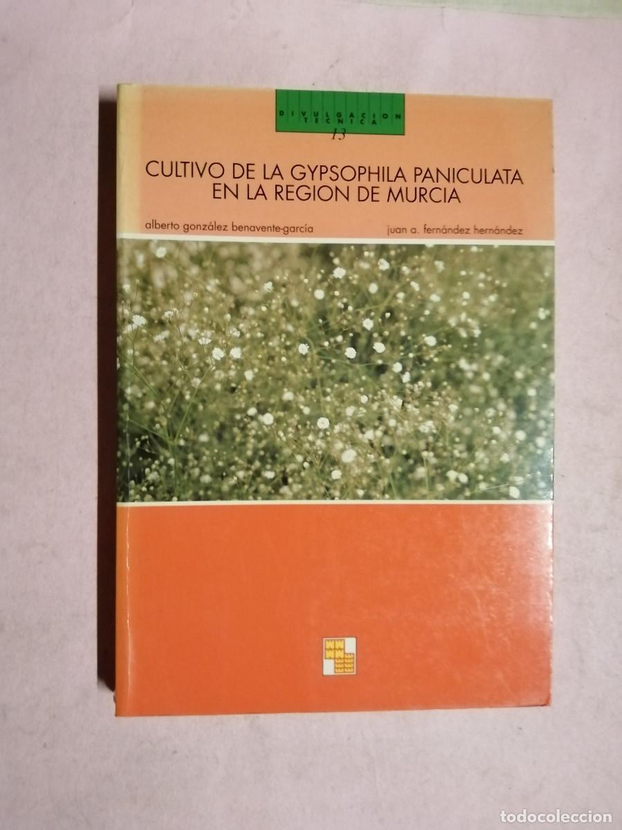 Libros de segunda mano: CULTIVO DE LA GYPSOPHILA PANICULATA EN LA REGION DE MURCIA
