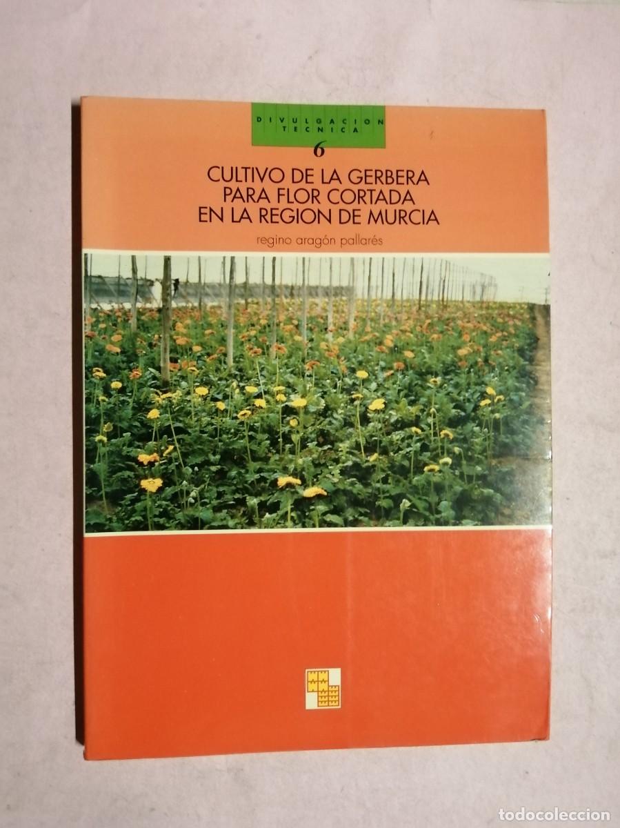 Libros de segunda mano: CULTIVO DE LA GERBERA PARA FLOR CORTADA EN LA REGION DE MURCIA