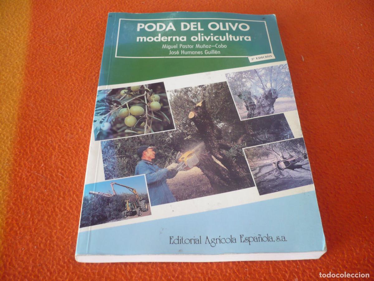 Libros de segunda mano: PODA DEL OLIVO MODERNA OLIVICULTURA ( MU&Ntilde;OZ-COBO GUILLEN ) CULTIVO PRODUCCION RENOVACION