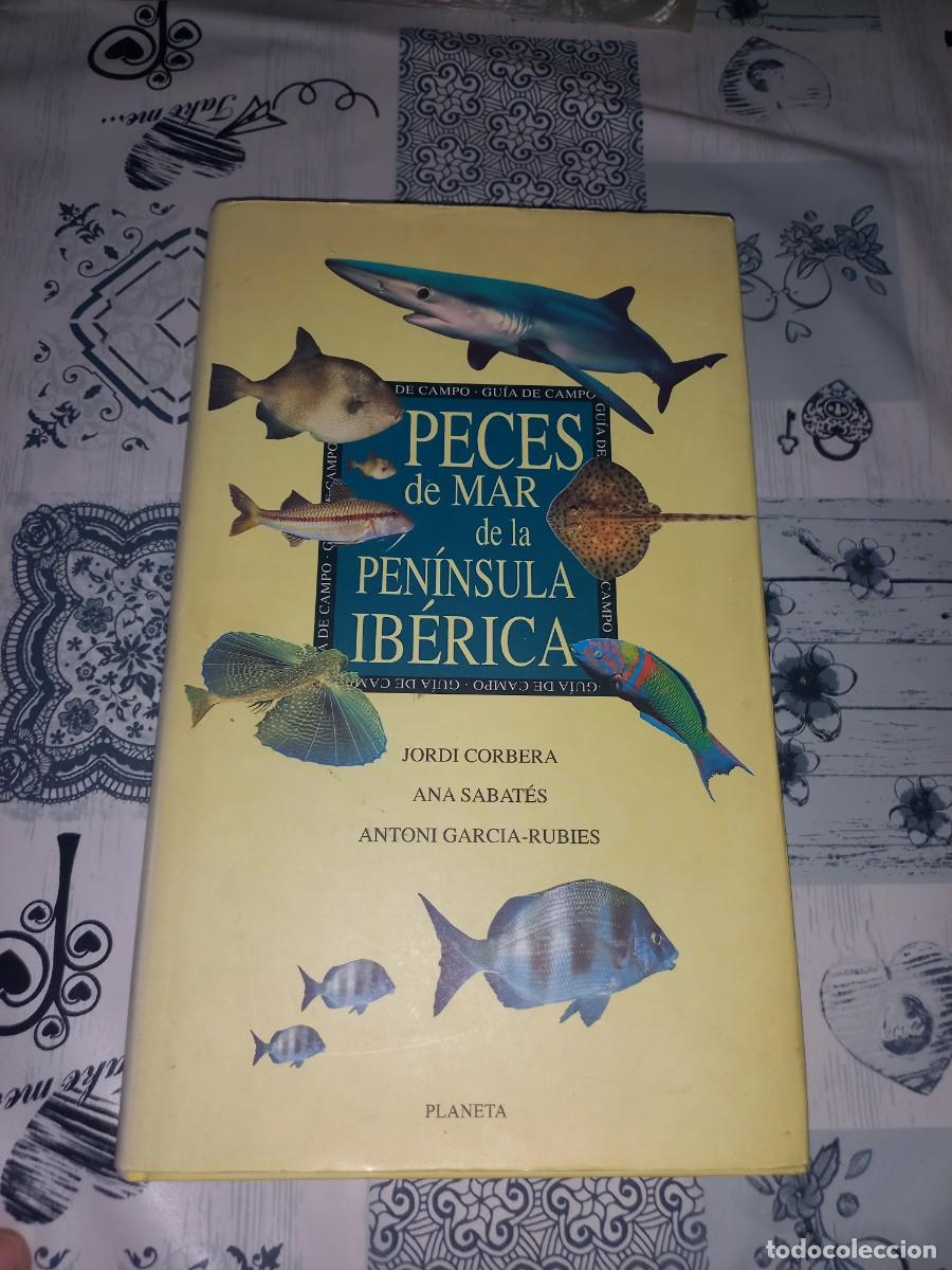 Libros de segunda mano: PECES DE MAR DE LA PEN&Iacute;NSULA IB&Eacute;RICA - Jordi Corbera, Ana Sabat&eacute;s, Antoni Garc&iacute;a-Rubies
