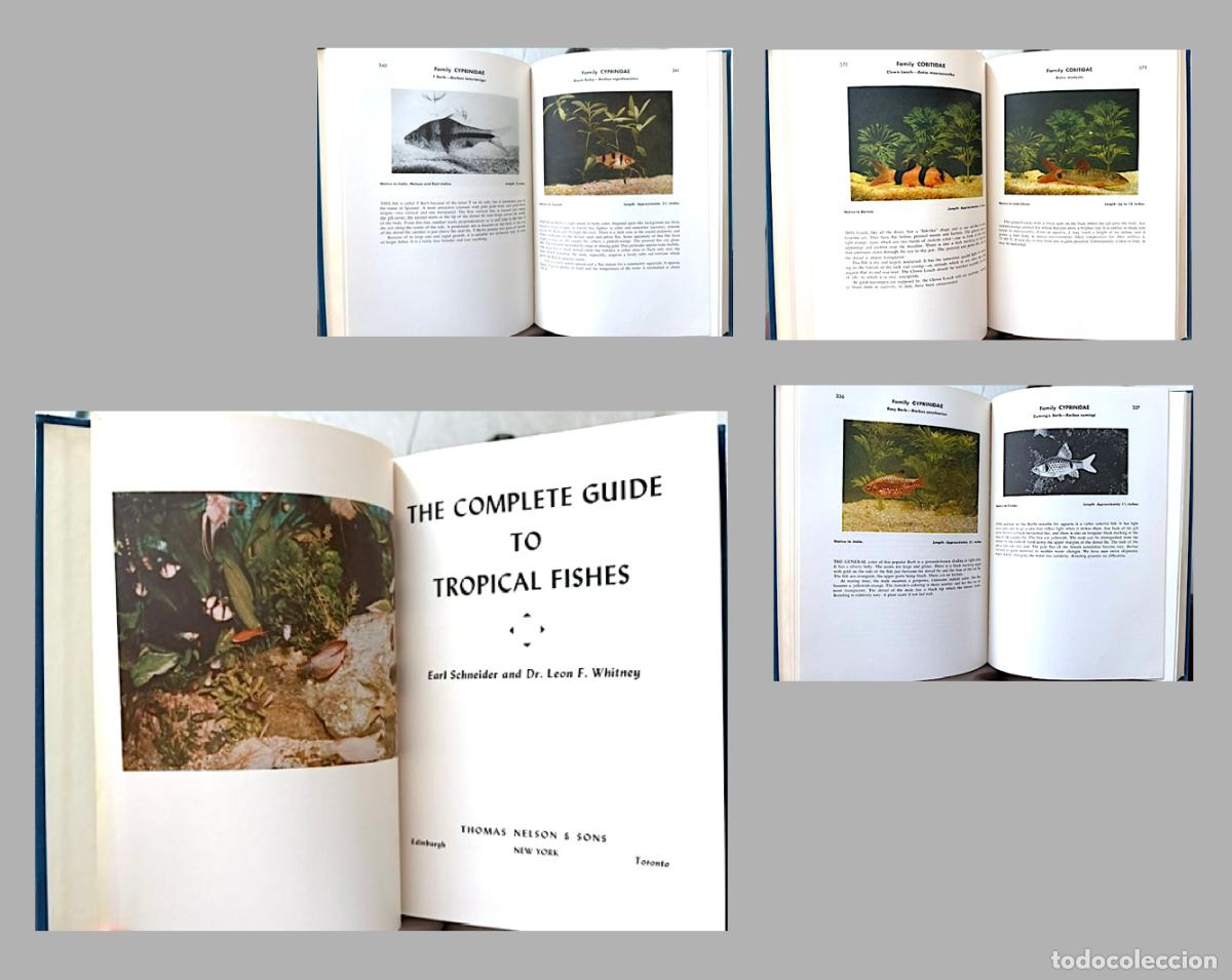 Libros de segunda mano: Gu&iacute;a de Peces Tropicales (Schneider... The Complete Guide to Tropical Fishes